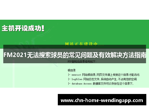 FM2021无法搜索球员的常见问题及有效解决方法指南