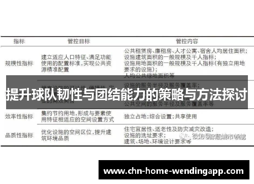 提升球队韧性与团结能力的策略与方法探讨