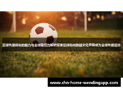 足球热潮背后的魅力与全球吸引力解析探索足球如何跨越文化界限成为全球热爱运动