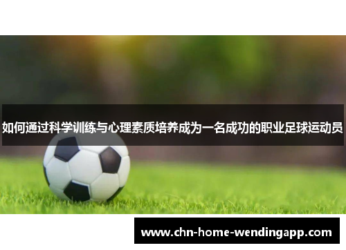 如何通过科学训练与心理素质培养成为一名成功的职业足球运动员