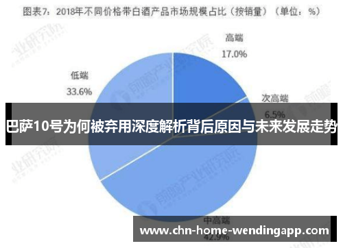 巴萨10号为何被弃用深度解析背后原因与未来发展走势