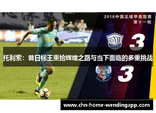 托利索：昔日标王重拾辉煌之路与当下面临的多重挑战