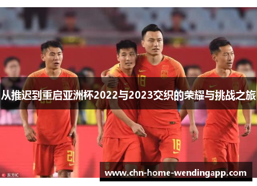 从推迟到重启亚洲杯2022与2023交织的荣耀与挑战之旅