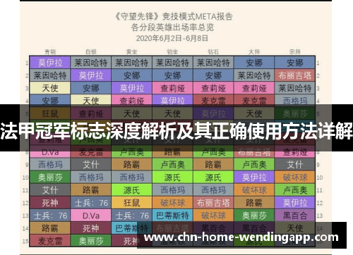 法甲冠军标志深度解析及其正确使用方法详解 法甲冠军标志深度解析及其正确使用方法详解