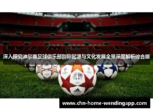 深入探究波尔蒂足球俱乐部别称起源与文化发展全景深度解析综合版 深入探究波尔蒂足球俱乐部别称起源与文化发展全景深度解析综合版