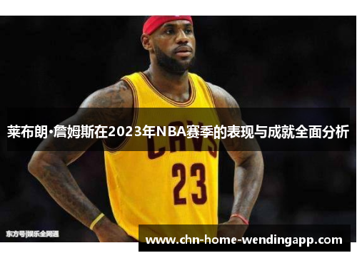 莱布朗·詹姆斯在2023年NBA赛季的表现与成就全面分析