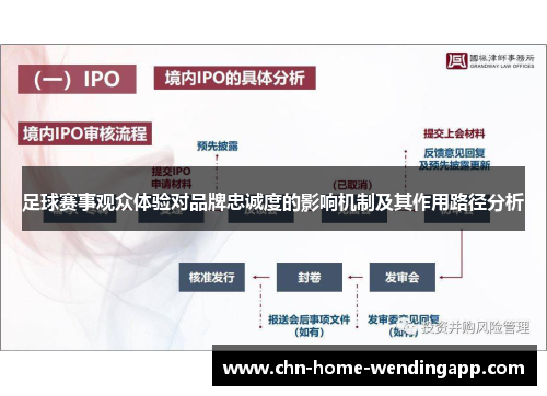 足球赛事观众体验对品牌忠诚度的影响机制及其作用路径分析