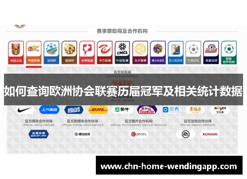 如何查询欧洲协会联赛历届冠军及相关统计数据