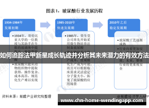 如何追踪法甲新星成长轨迹并分析其未来潜力的有效方法