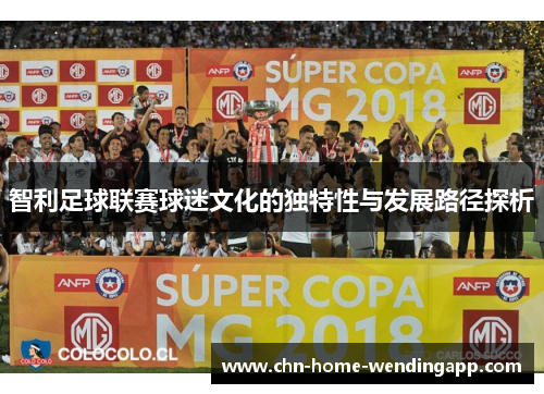 智利足球联赛球迷文化的独特性与发展路径探析 智利足球联赛球迷文化的独特性与发展路径探析