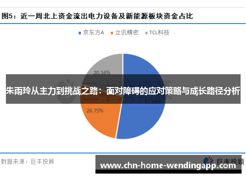 朱雨玲从主力到挑战之路：面对障碍的应对策略与成长路径分析