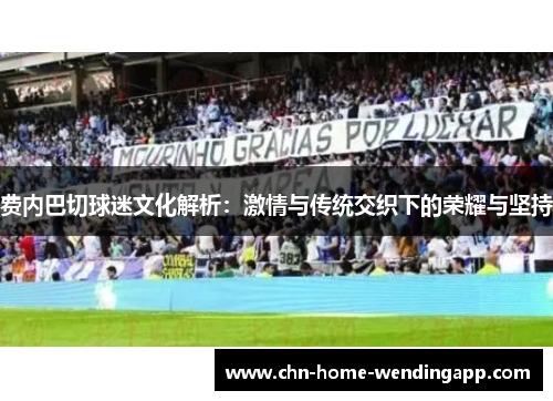 费内巴切球迷文化解析：激情与传统交织下的荣耀与坚持