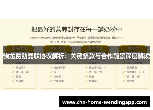 骁龙赞助曼联协议解析：关键条款与合作前景深度解读