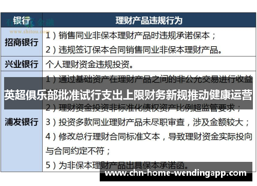 英超俱乐部批准试行支出上限财务新规推动健康运营